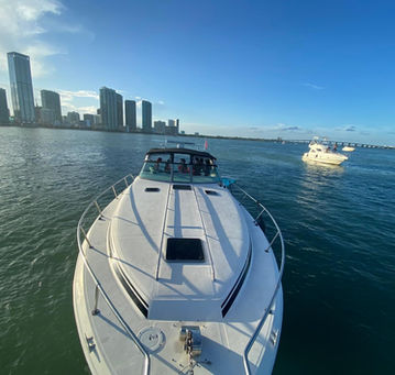 Barco 2