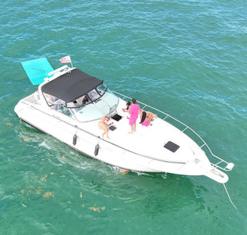 Barco 5