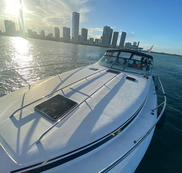 Barco 6